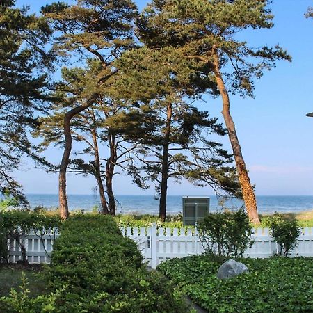 Villa Strandperle 17 ゼーバート・ヘリングスドルフ エクステリア 写真